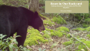 WPRR_Bears_2024