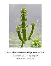 WPRR-Flora-Project-Quarterly-Report-June 2025