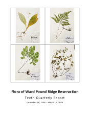 WPRR-Flora-Project-Quarterly-Report-Mar-2025