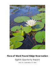 WPRR-Flora-Project-Quarterly-Report-Sept-2024