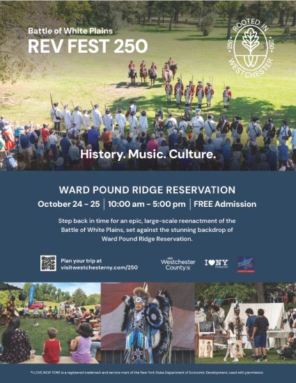 Rev Fest 250 Flyer
